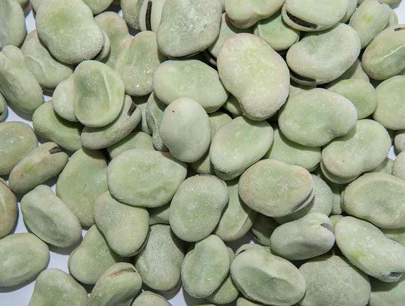 The benefits of eating broad beans